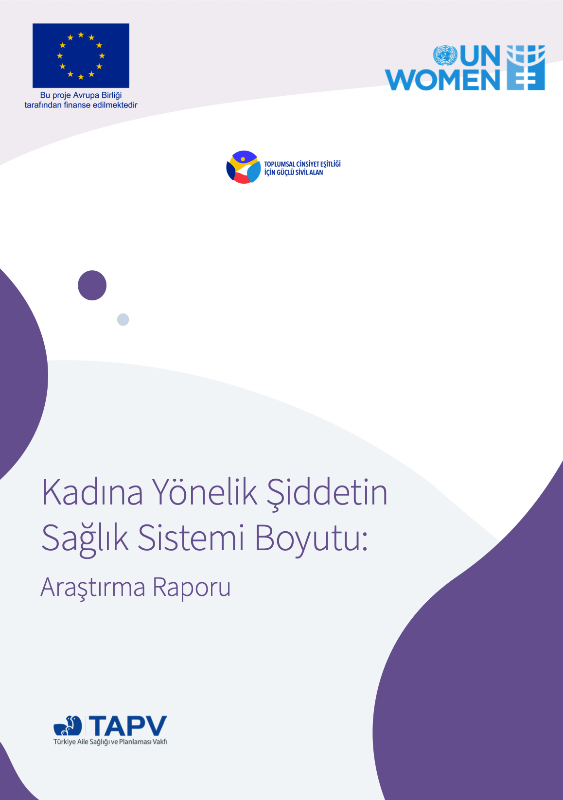 TAPV Kadına Yönelik Şiddetin Sağlık Sistemi Boyutu