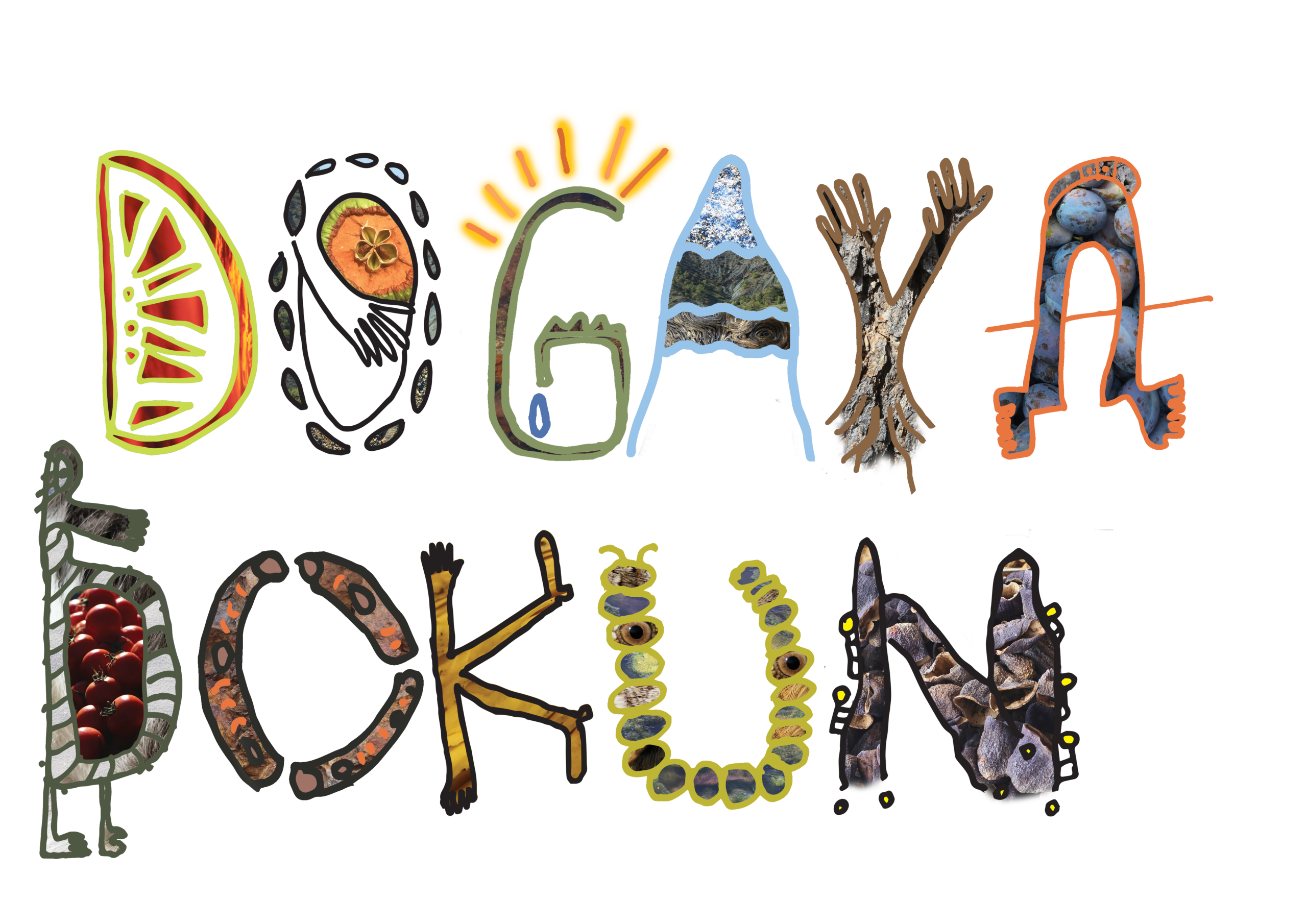 Logo Tasarımları