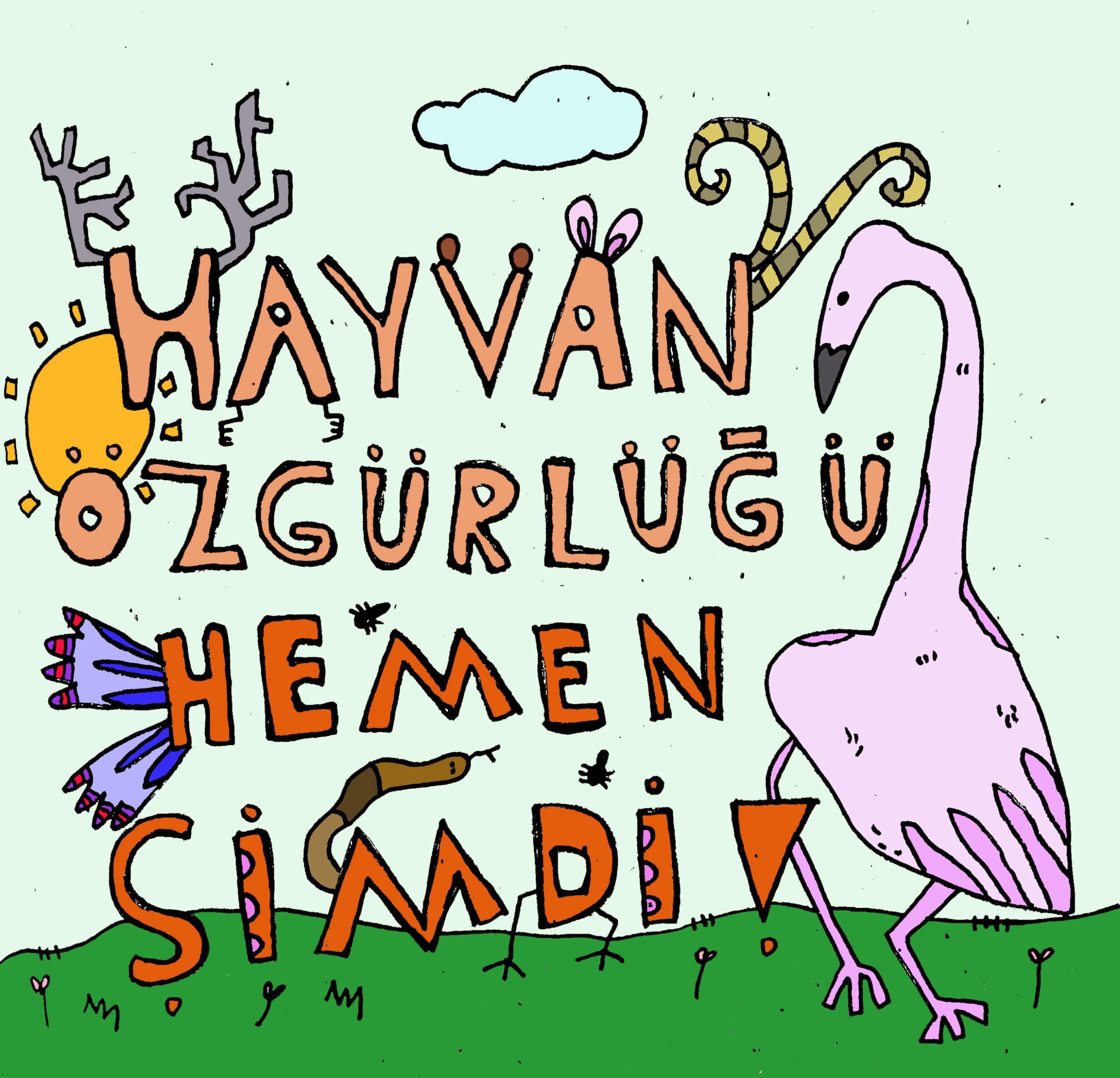 Çizimler