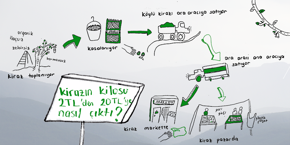 Bilinçli Tüketim